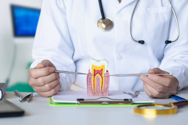 Best Emergency Dentist for Special Needs Patients in Josephine, TX